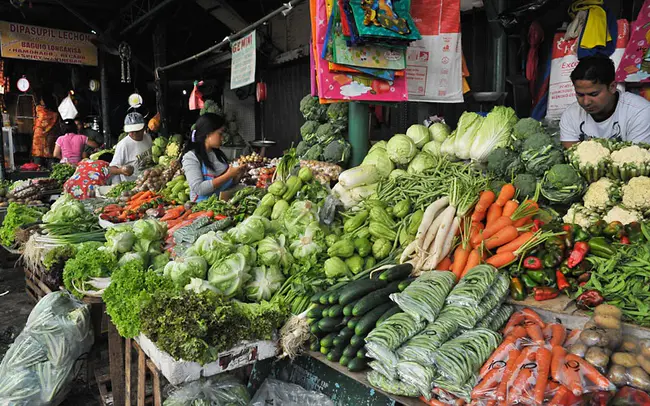 Local Food and Agriculture Council : 地方粮食及农业委员会