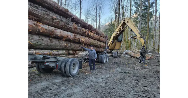 Aboriginal Forest Industries Council : 土著森林工业委员会