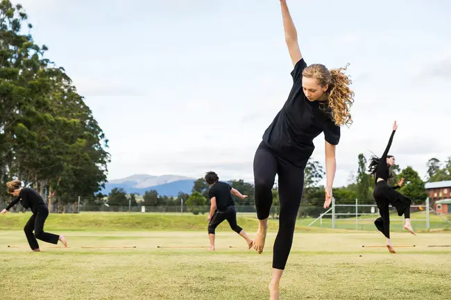 International Dance Festival Ireland : 爱尔兰国际舞蹈节