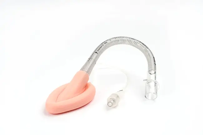Flexible Laryngeal Mask Airway : 柔性喉罩气道