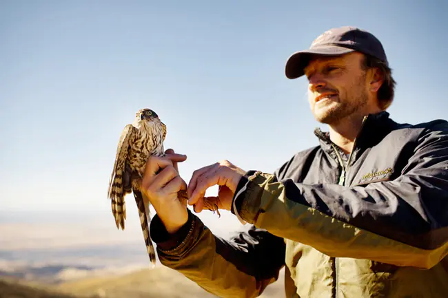 Last Mountain Bird Observatory : 最后一座山鸟天文台