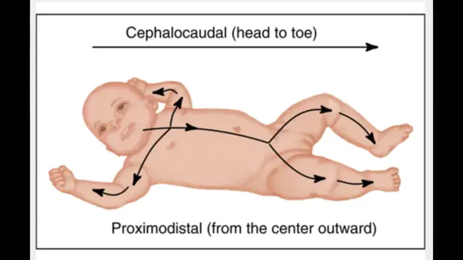 Cephalo Pelvic Disproportion : 胎头骨盆不对称