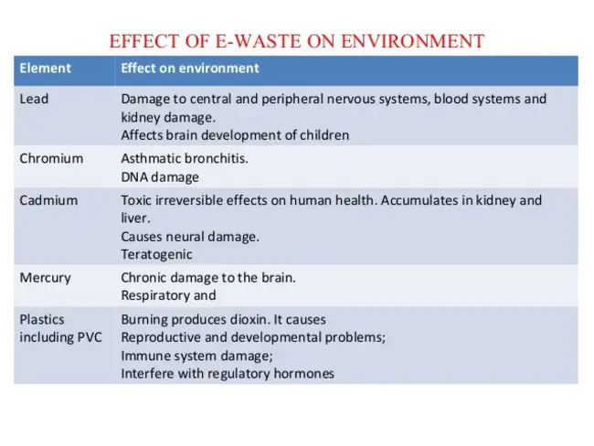Waste Reduction and Energy Efficiency : 废物减少和能源效率