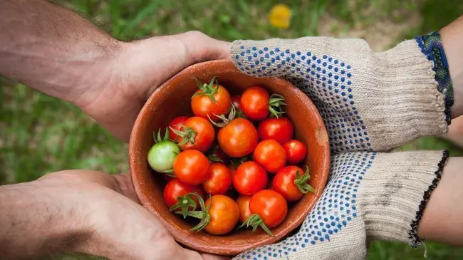 Wisconsin Association Of Food Protection : 威斯康星州食品保护协会