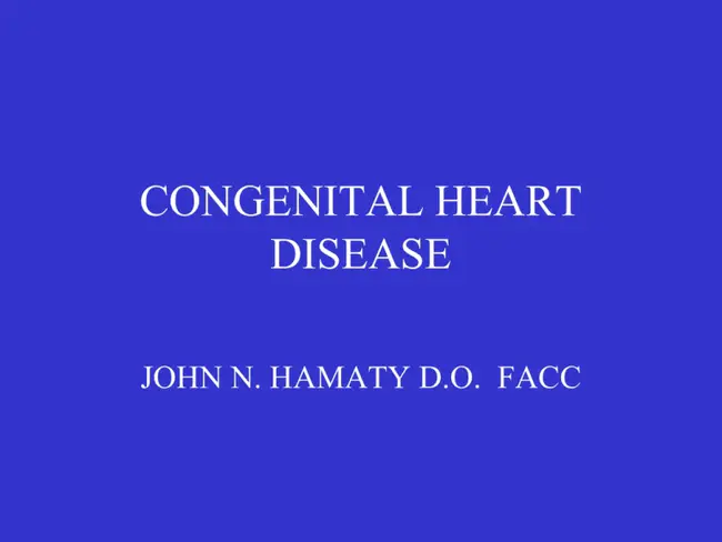 Congenital Heart Institute of Florida : 佛罗里达先天性心脏研究所