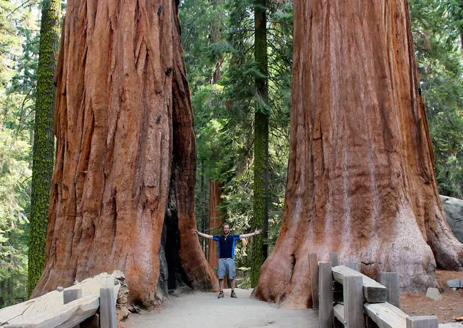 Sequoia Regional Visitors Council : 红杉地区访客委员会