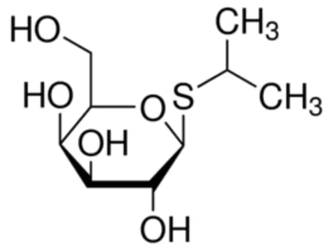 IsoPropyl b-D-ThioGalactoside : 异丙基b-d-硫半乳糖苷