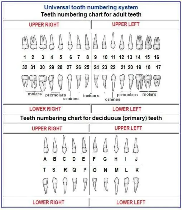 International Aircraft Categorisation And Identification Standard : 国际飞机分类和识别标准