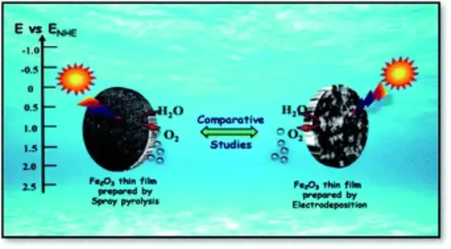 Electrophoretic Mobility Shift Assays : 凝胶阻滞实验