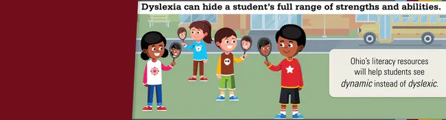 Illinois Branch International Dyslexia Association : 国际阅读障碍协会伊利诺伊州分会