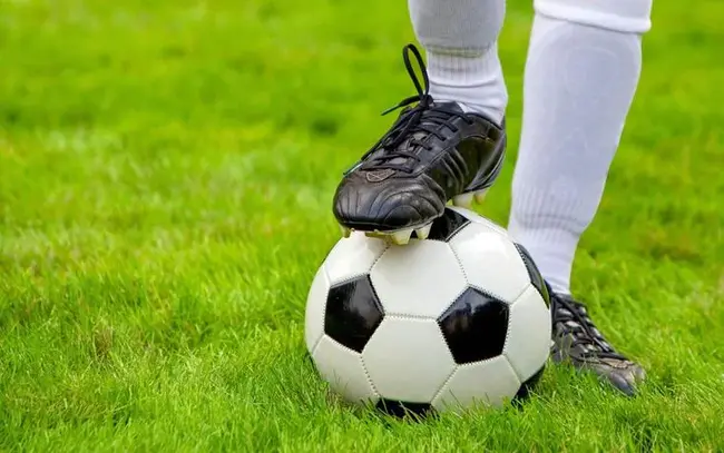 Norfolk Youth Soccer League : 诺福克青年足球联赛