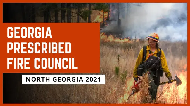 Georgia Fire Investigators Association : 佐治亚州火灾调查员协会