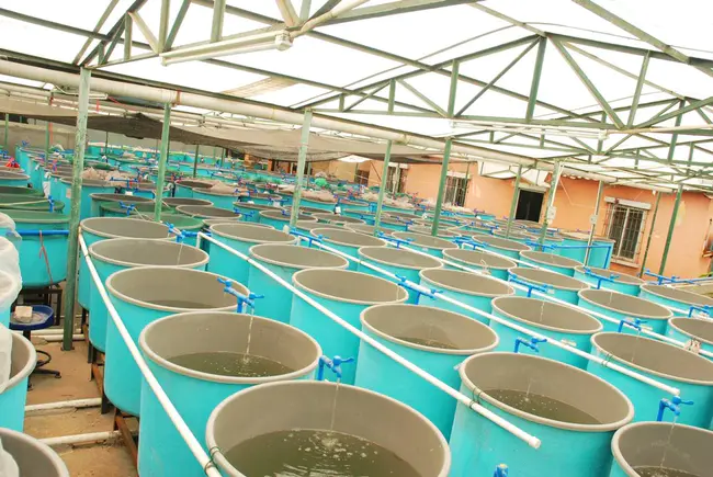 Aquaculture Catchment Management Services : 水产养殖集水区管理服务