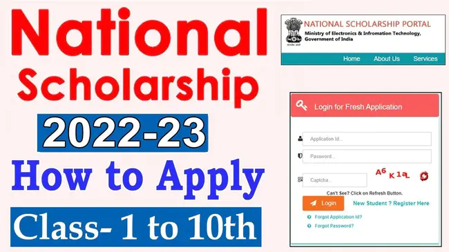 National Merit Scholarship Program : 奖学金项目