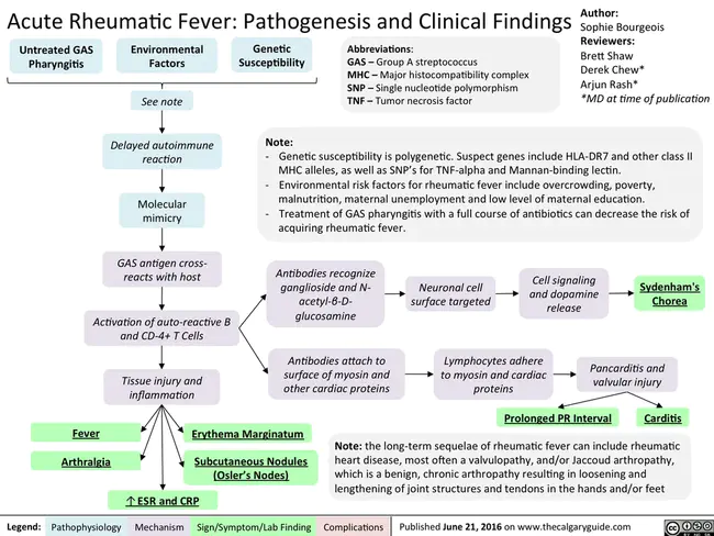 Disease Modifying Anti-Rheumatic Drug : 抗病抗风湿药