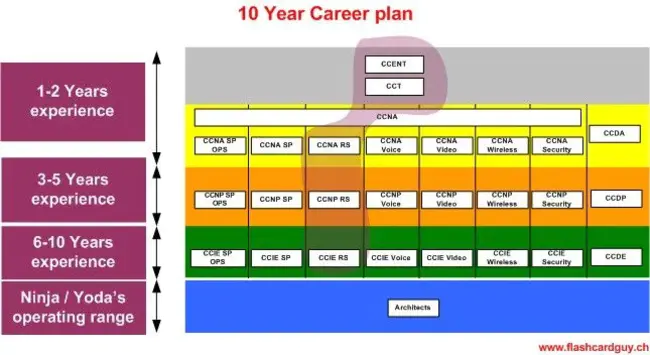 Career Action Plan : 职业行动计划