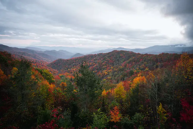 Great Smoky Mountain Chapter : 大烟山篇