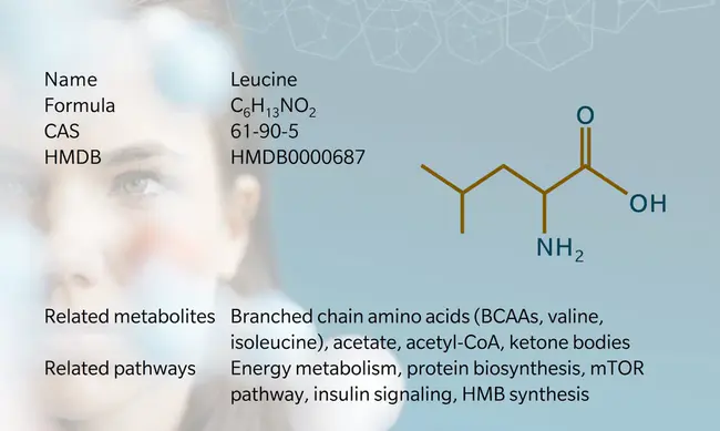 Leucine Metabolism Disorder : 亮氨酸代谢紊乱