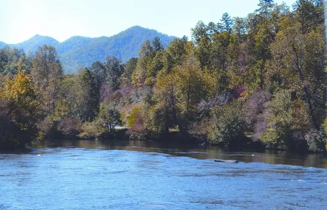 River Basin Management Unit : 流域管理股