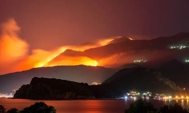 Wildland Fire Prevention Education : 野地防火教育