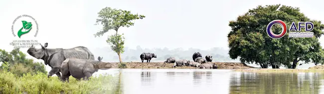 Assam Forest Protection Force : 阿萨姆邦森林保护部队