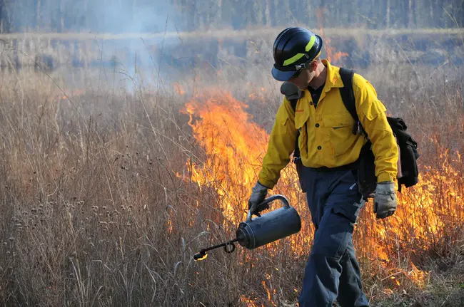 Annual Wildfire Operating Plan : 年度野火作业计划