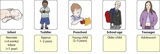 Developmental Right Hemisphere Syndrome : 发育性右半球综合征