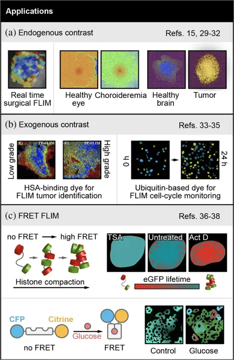 Time Resolved Fluorescence Microscopy : 时间分辨荧光显微镜