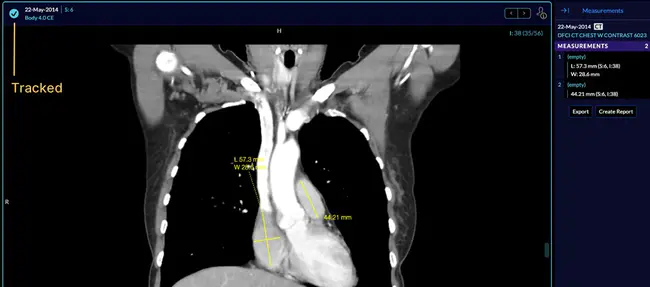 Multi-lateral Medical Operations Panel : 多边医疗行动小组