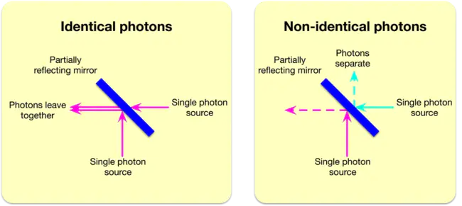 Two-Photon Induced Fluorescence : 双光子诱导荧光