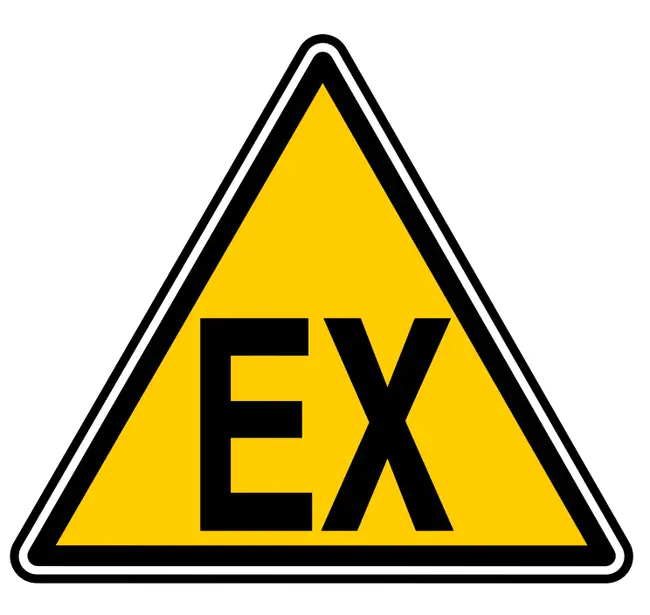 Ex- : 前任-