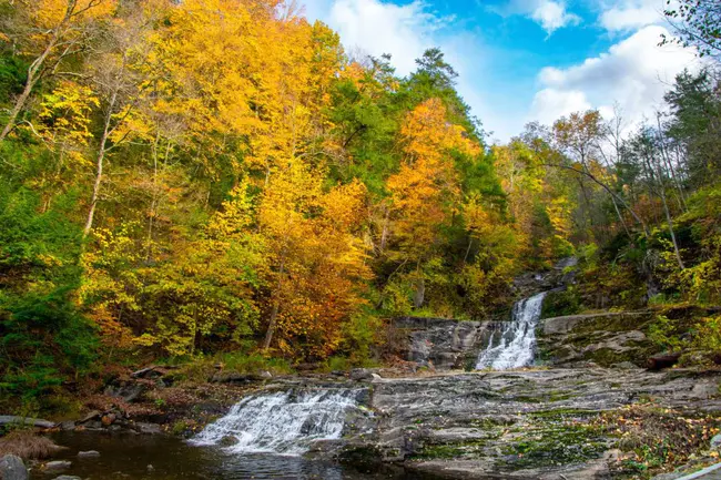 Connecticut Environmental Policy Act : 康涅狄格环境政策法