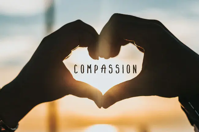 Compassion : 同情