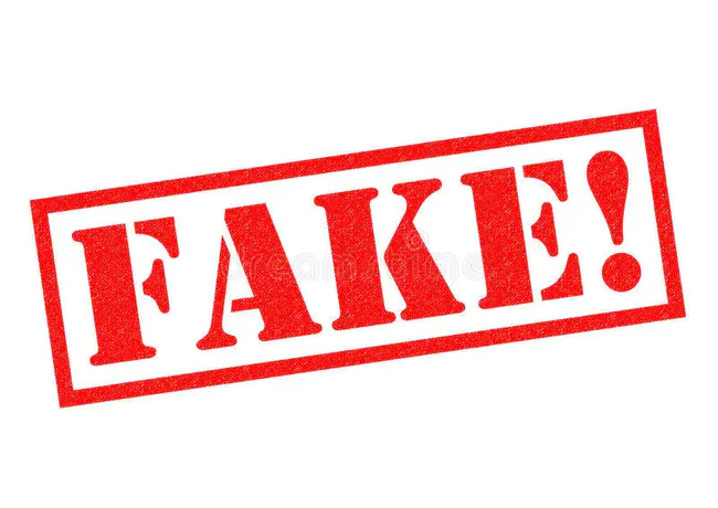 Fake : 伪造的