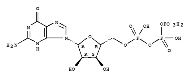 Guanosine Triphosphate A Precursor : 鸟苷三磷酸A前体