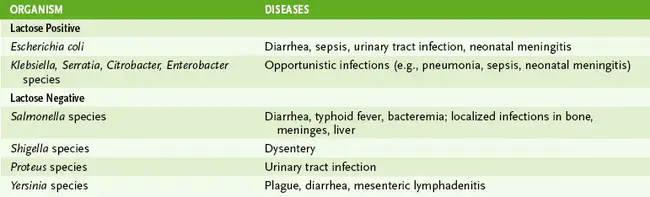 Enterobacterial Repetitive Intergenic Consensus : 肠杆菌重复性基因间一致性