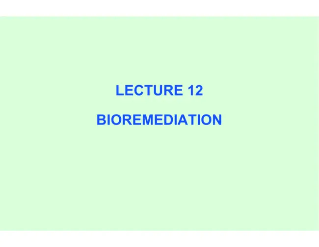 Bioremediation and Environmental Research Mesocosms : 生物修复与环境研究