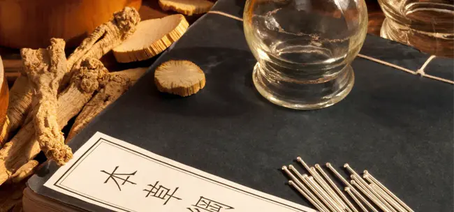 Traditional Chinese Medicine : 中药