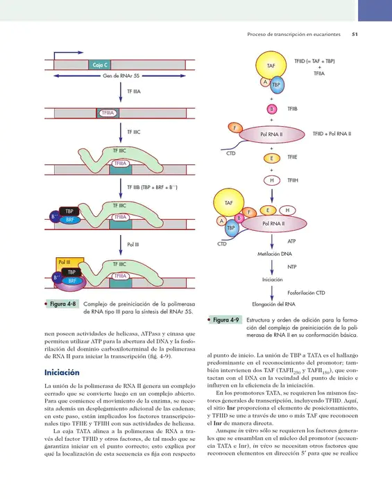 DNA Molecular Screening : DNA分子筛选