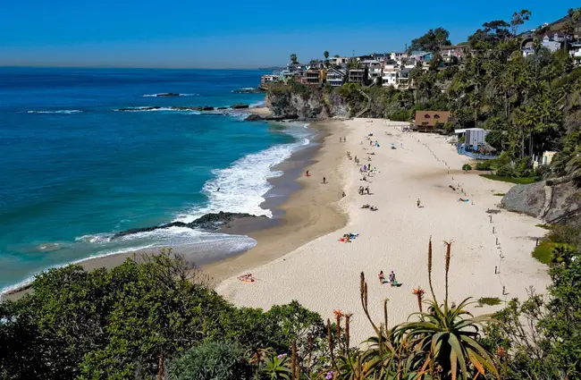 Laguna Beach : 拉古纳海滩