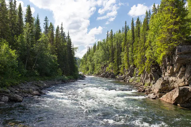 River of Life Sanctuary : 生命之河保护区