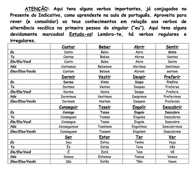 Verbo Intransitivo : 不及物动词