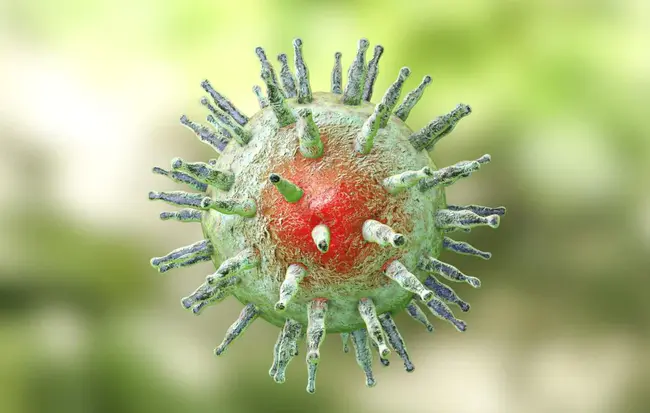 Human Herpes Virus : 人疱疹病毒