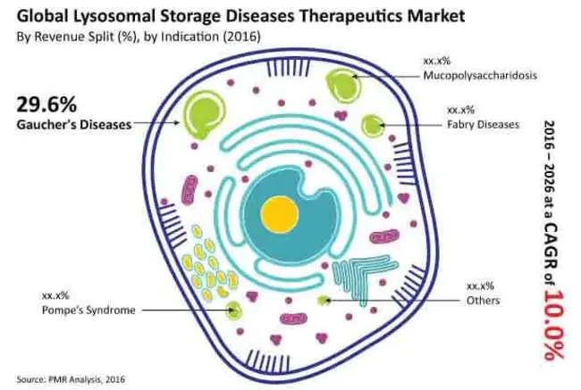 Lysosomal Storage Disorder : 溶酶体储存障碍