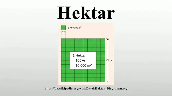 Hektar : 公顷