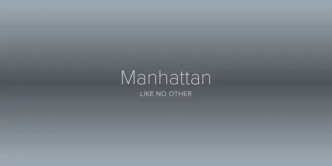 Manhattan South Task Force : 曼哈顿南部工作队