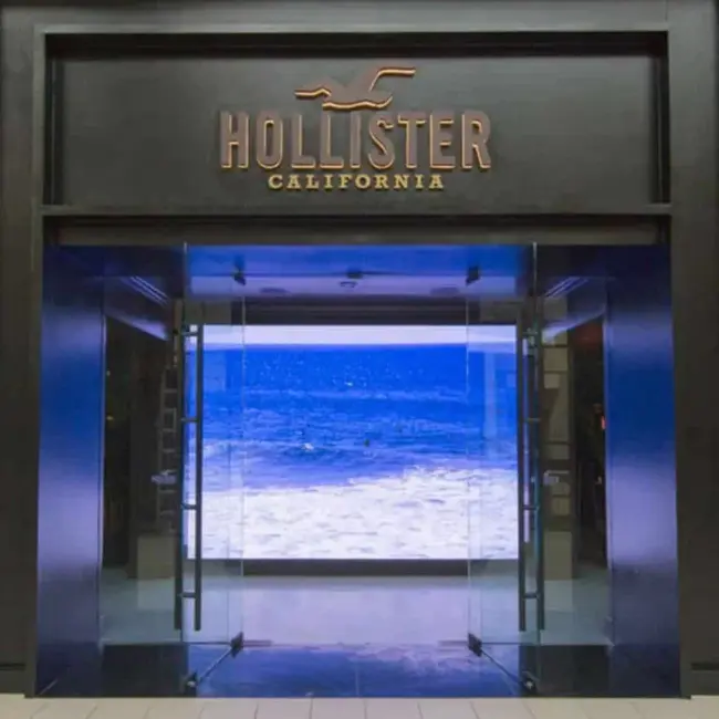 Hollister Company : 霍利斯特公司