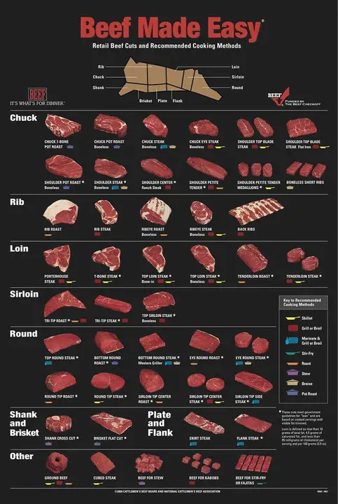 Beef Cattle Improvement Plan : 肉牛改良计划