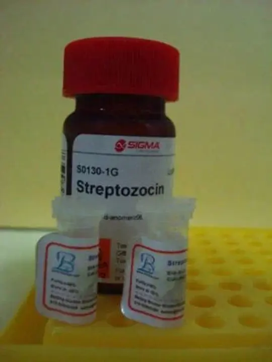 StrepToZotocin : 链脲佐菌素