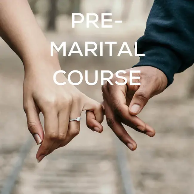 Pre-Marital Sex : 婚前性行为